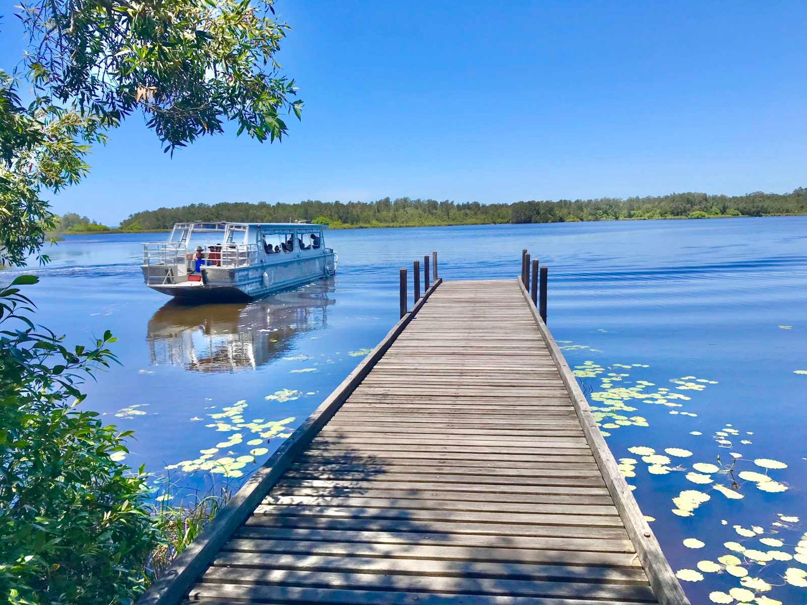 How to Get to Noosa Everglades