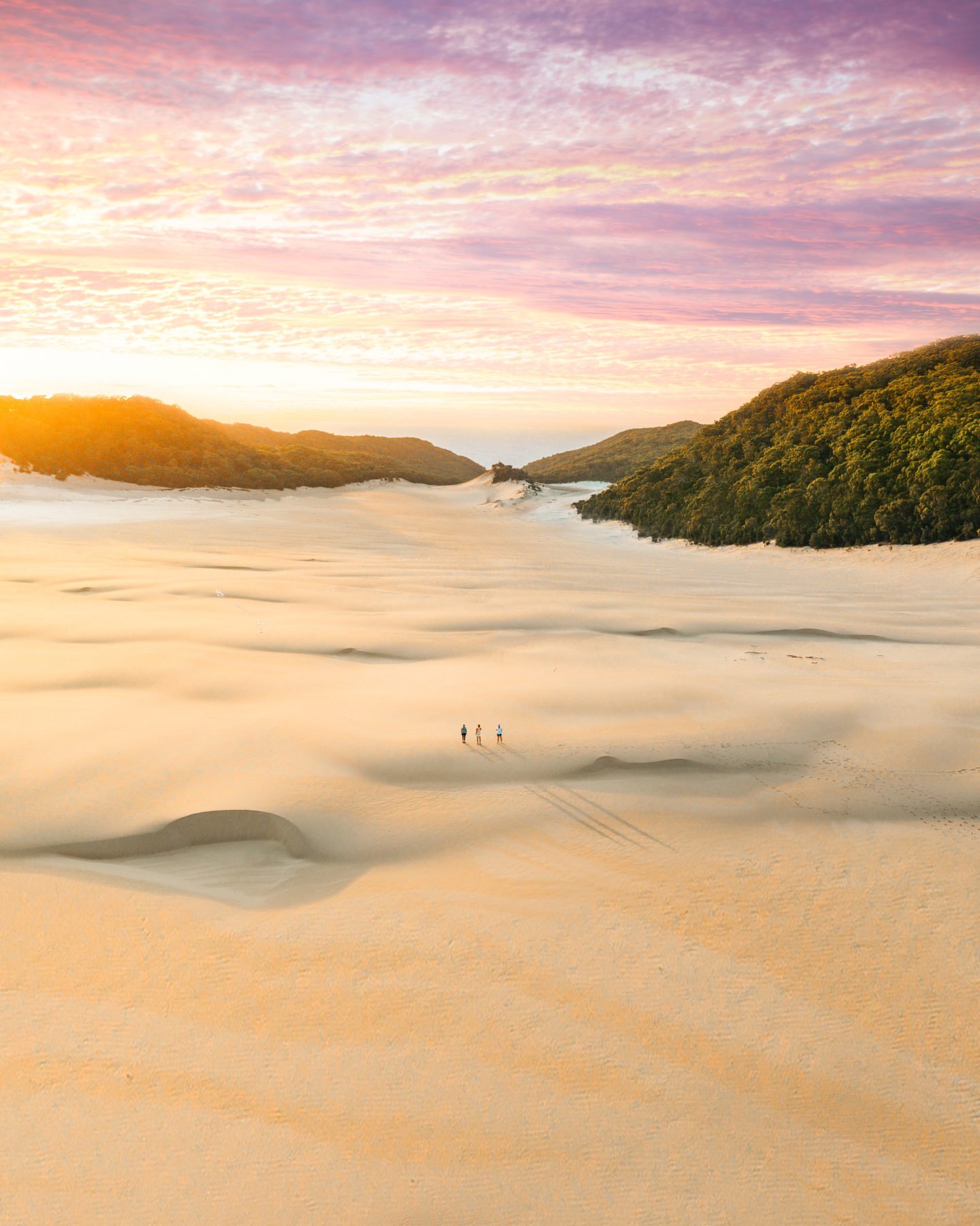 Cooloola Sand Patch