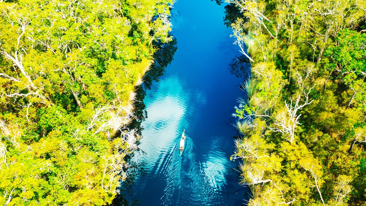 Noosa Everglades Weather