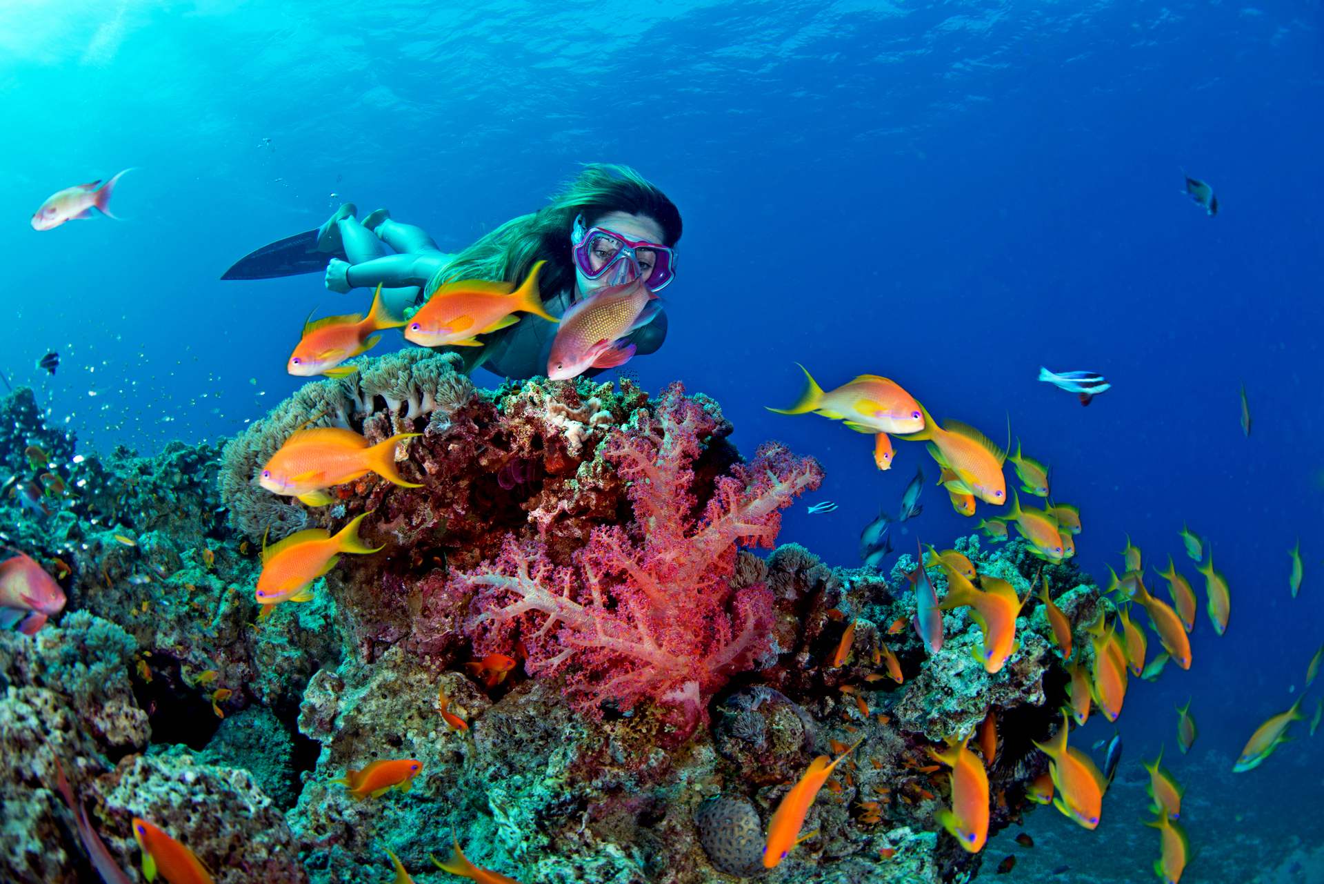 Aqaba Dive Sites