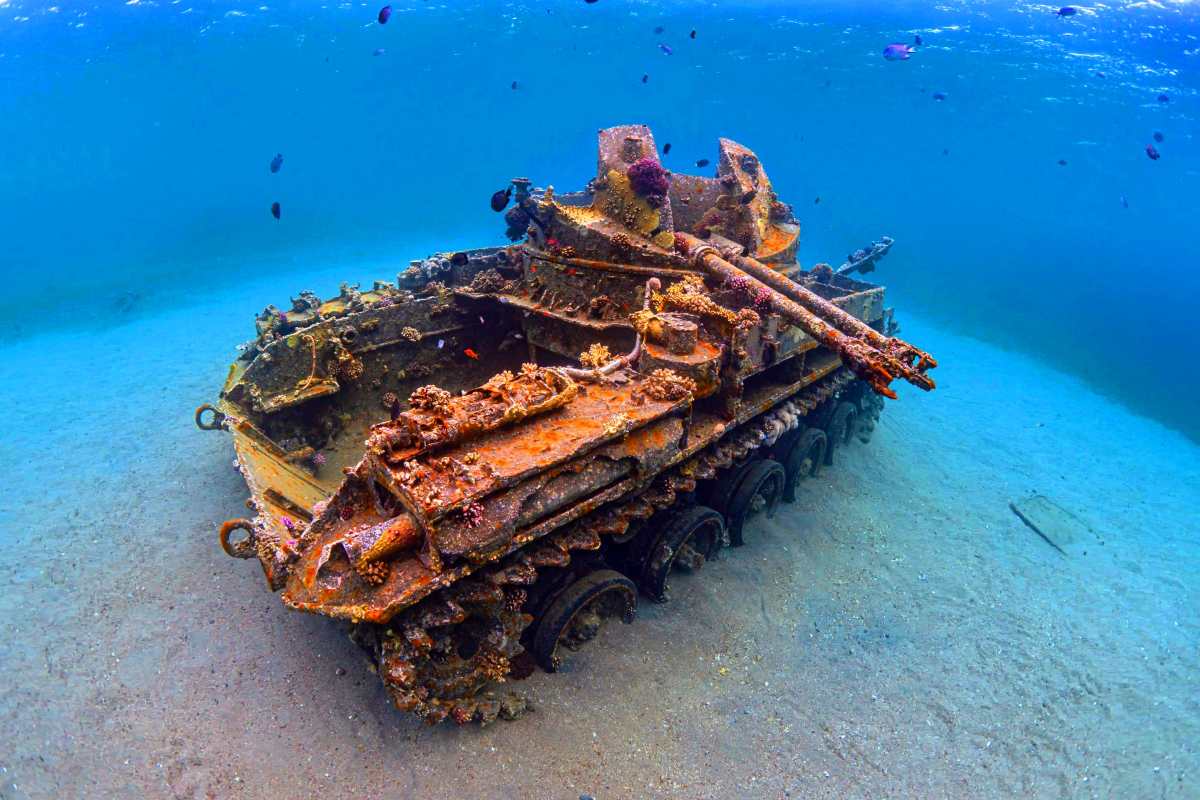 The Tank