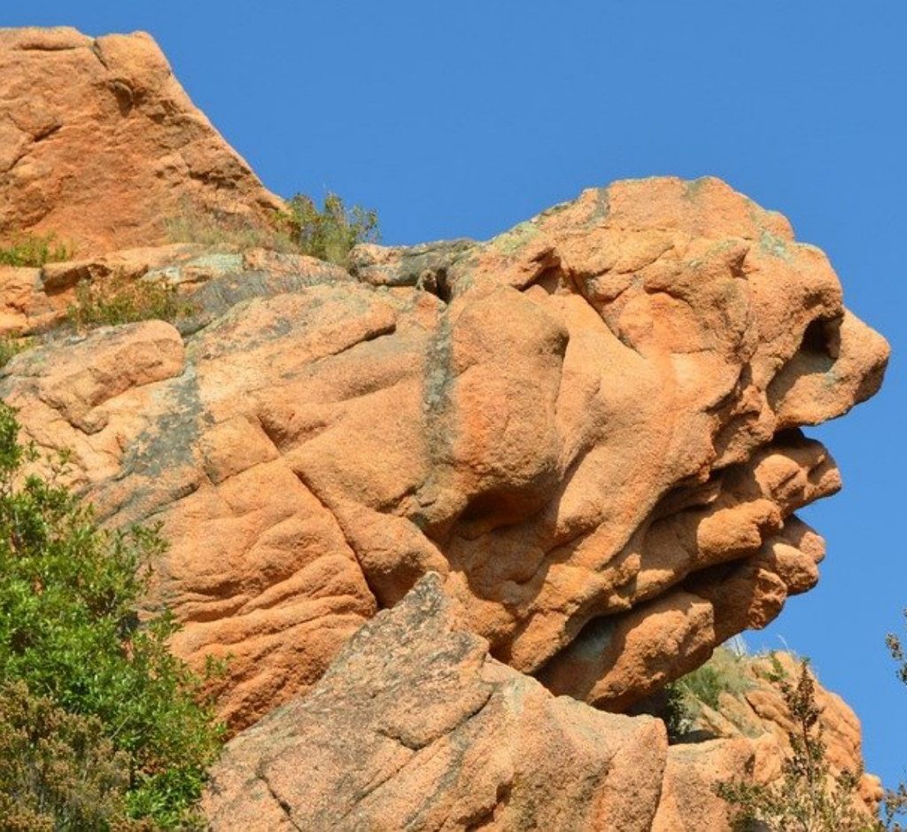 La Tête de Chien