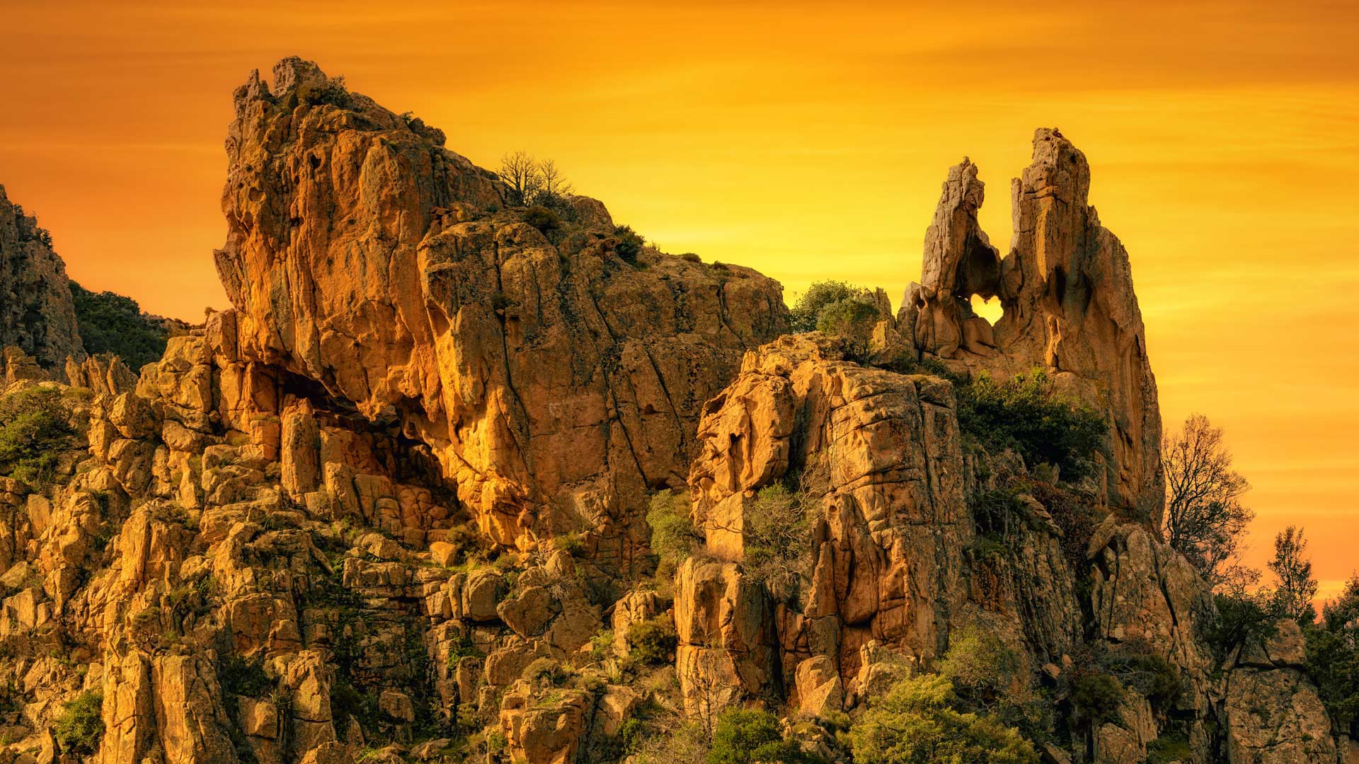 Cœur de Piana