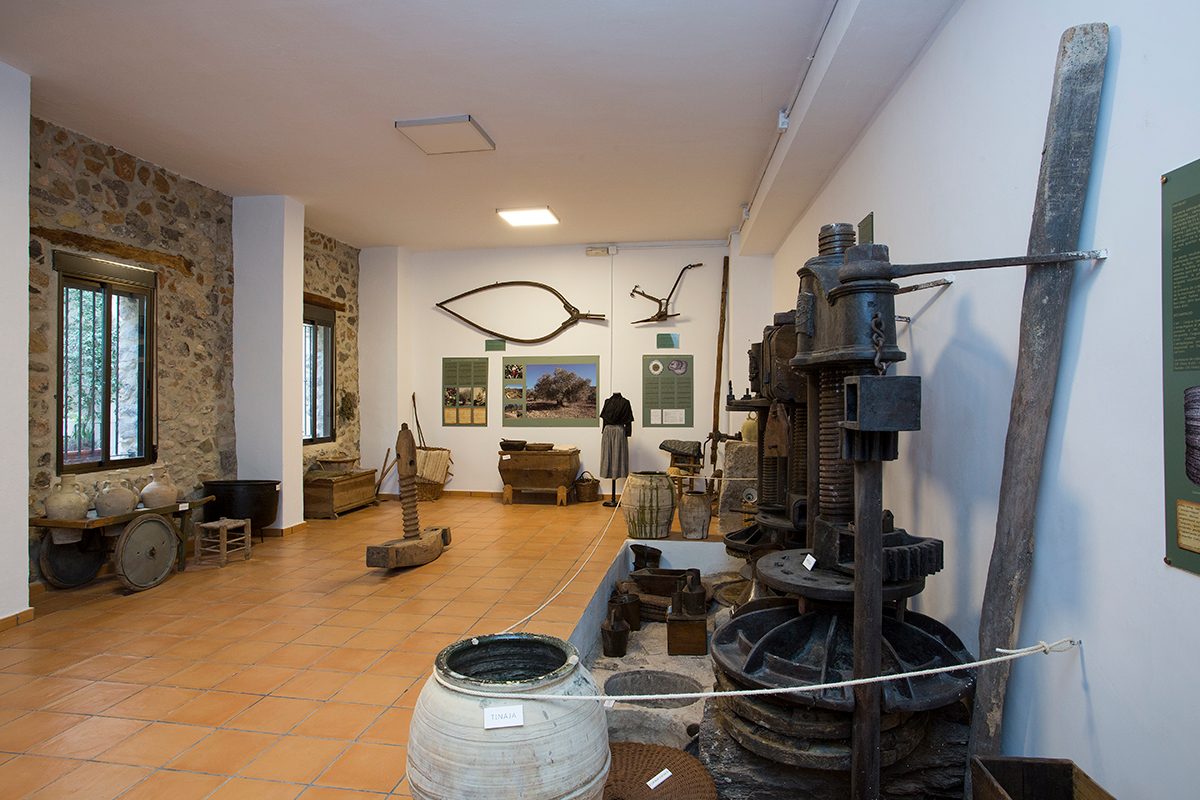 Museum Gallery