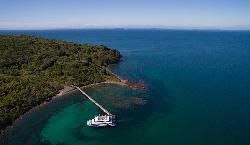 Tiritiri Matangi Island Ferry Timetable