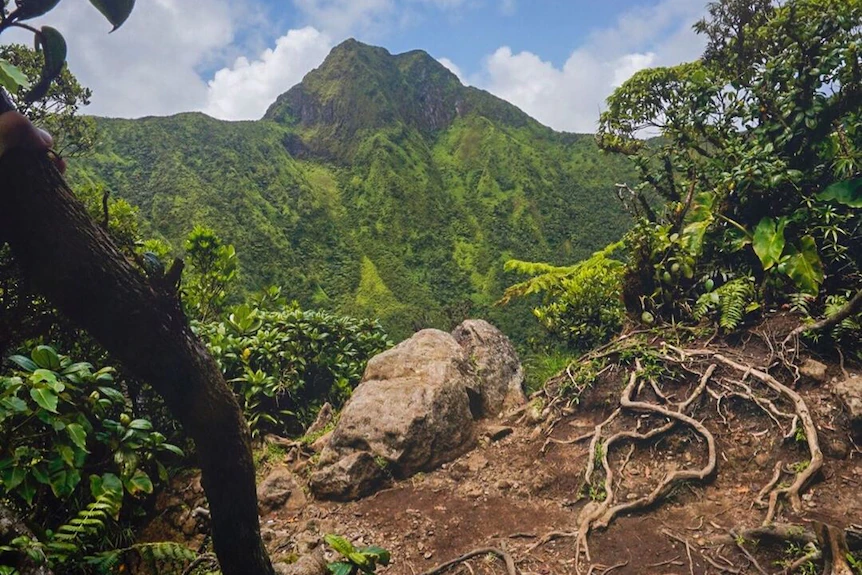 St Kitts Volcano Hike Difficulty