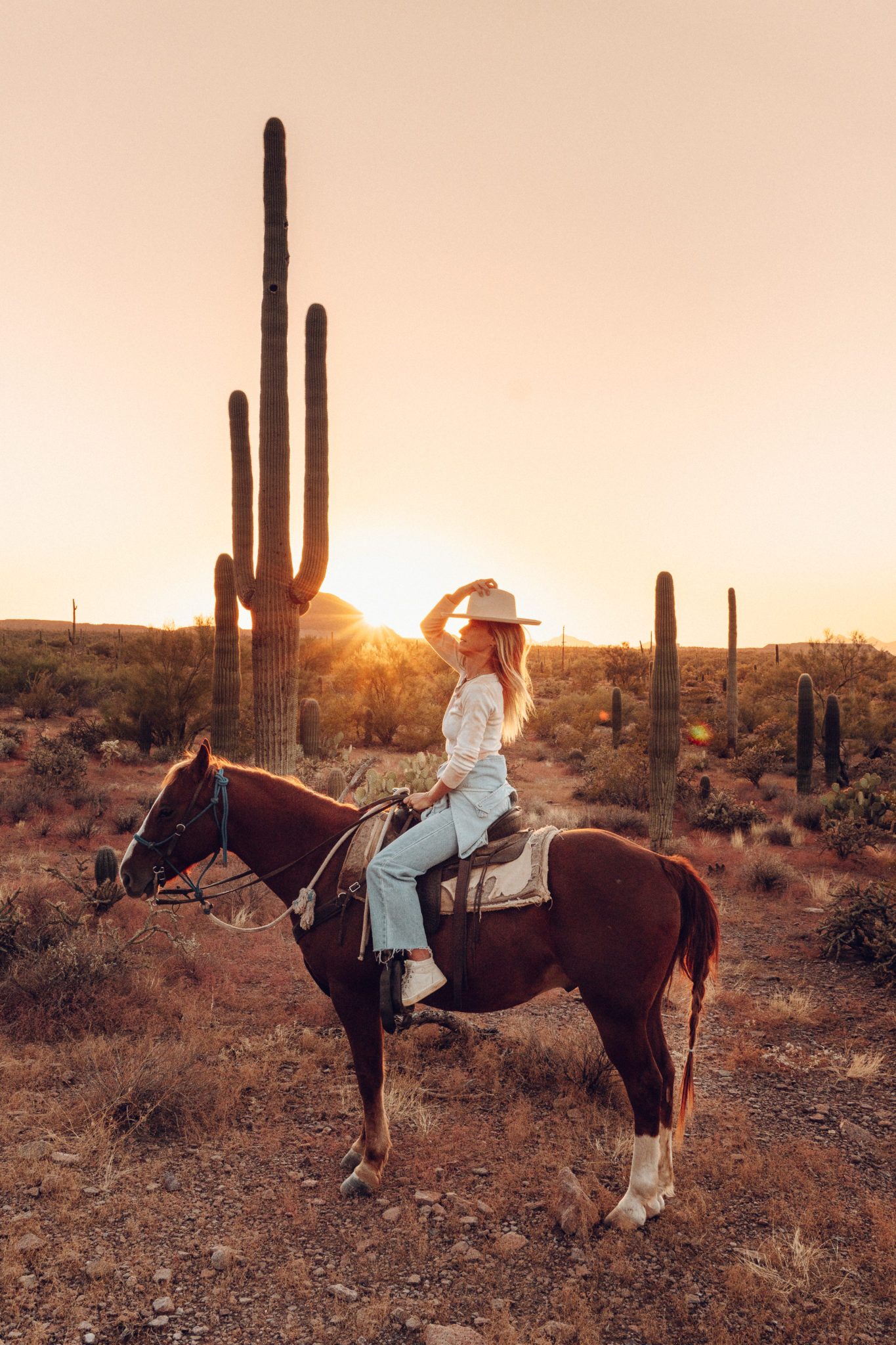 Tucson Horseback Riding and Dinner