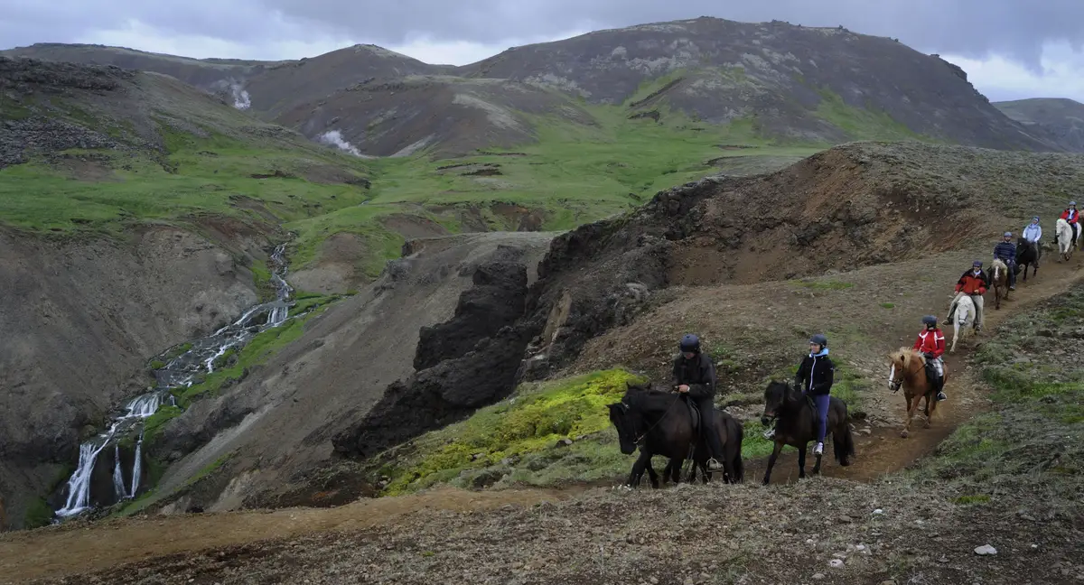 Reykjadalur Horseback Riding