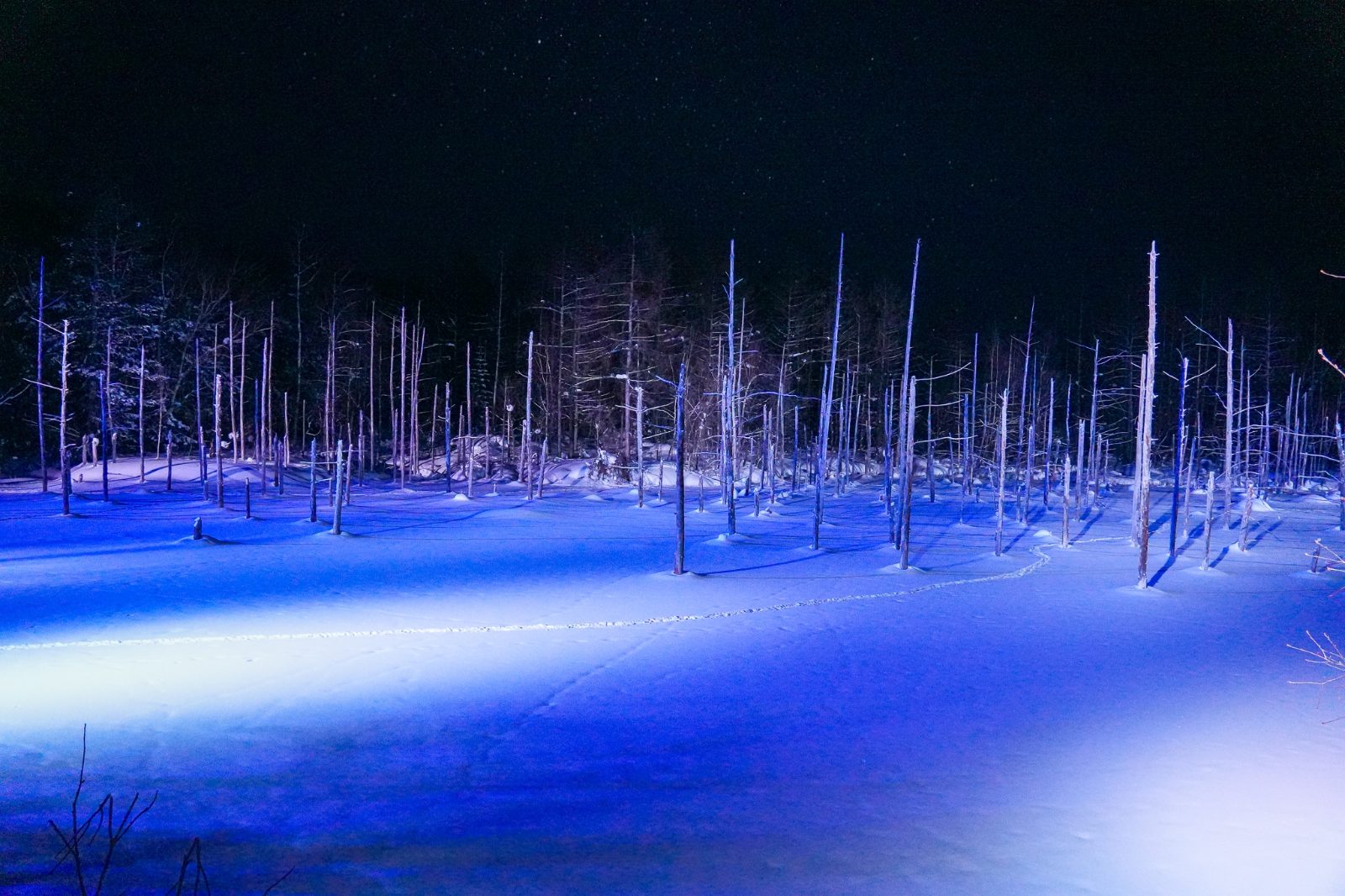 Biei Blue Pond Winter Illumination