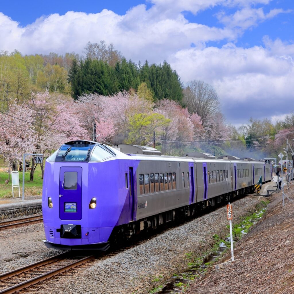 Sapporo to Asahiyama Zoo Train