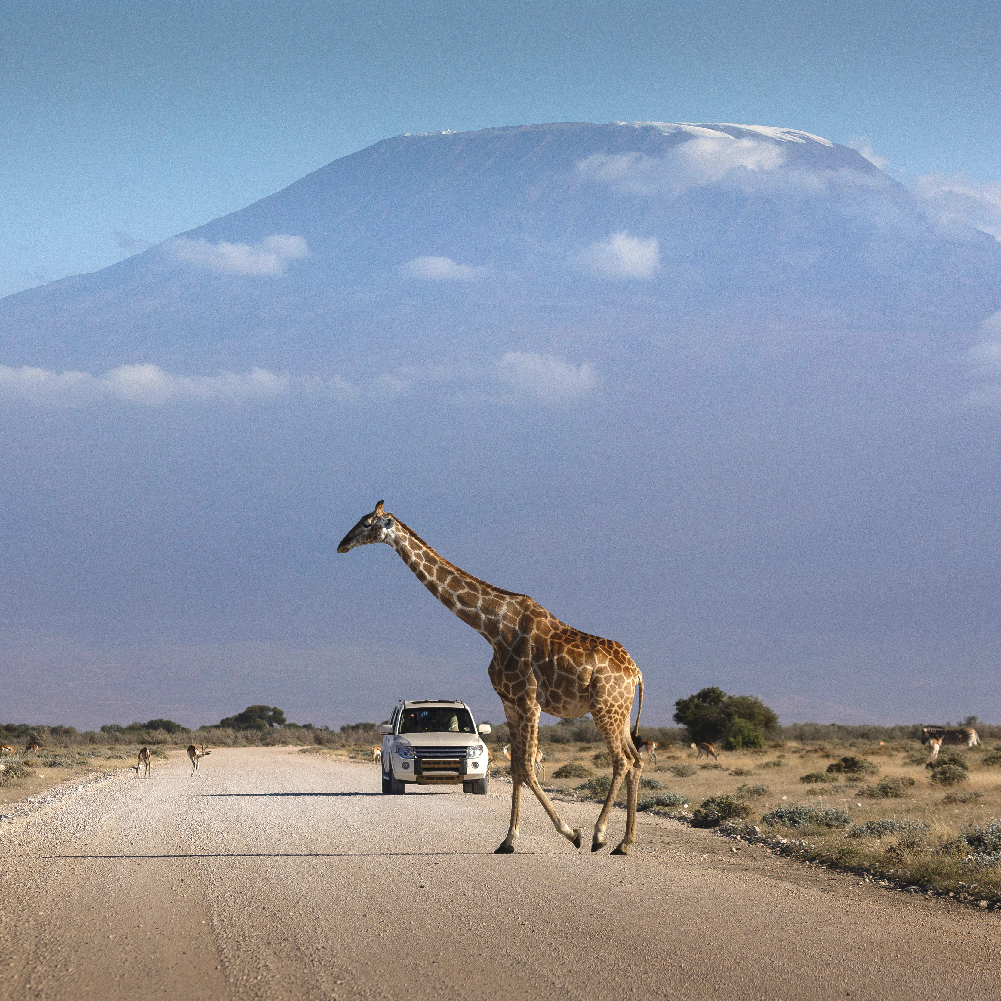 Distance From Amboseli to Nairobi