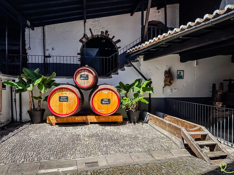 Madeira Wine Tasting Experience