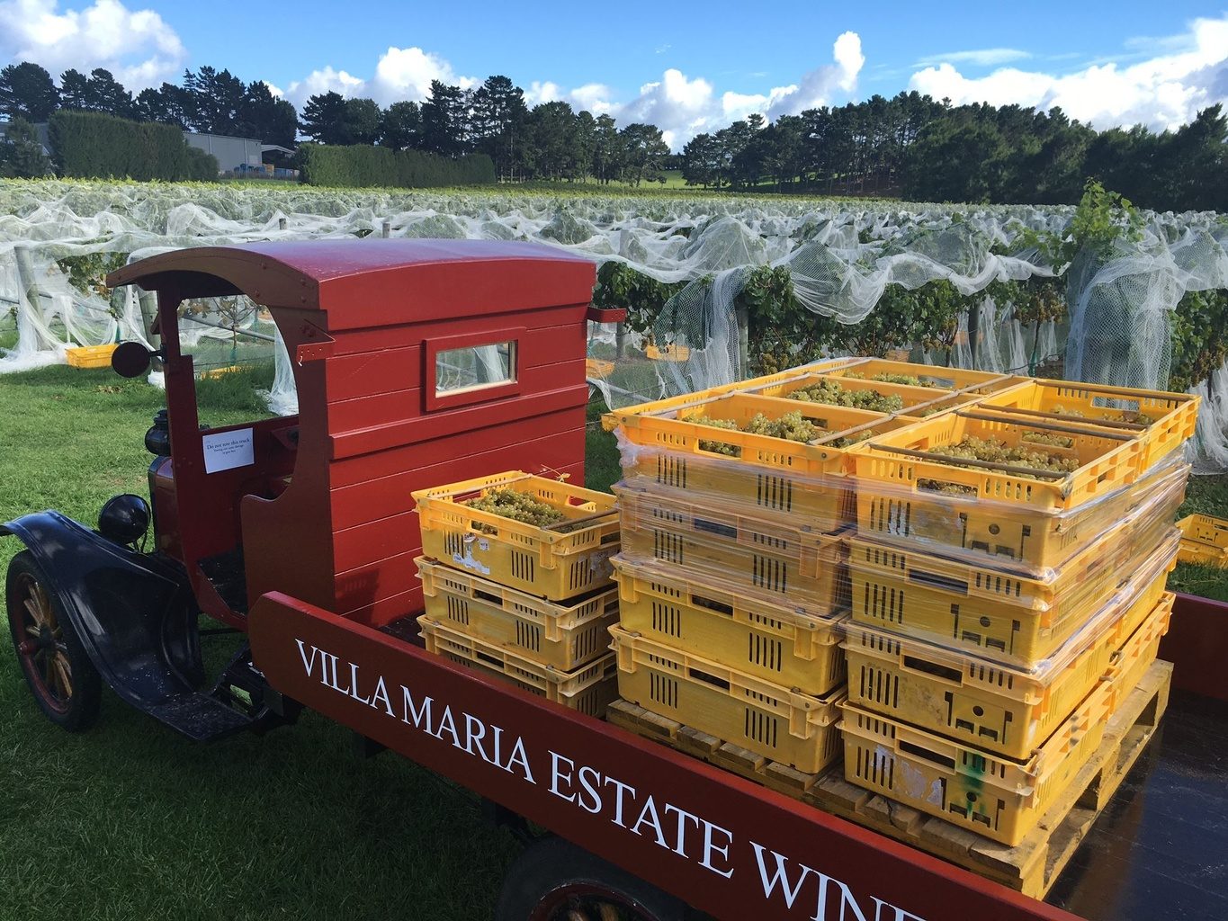 Villa Maria Estate