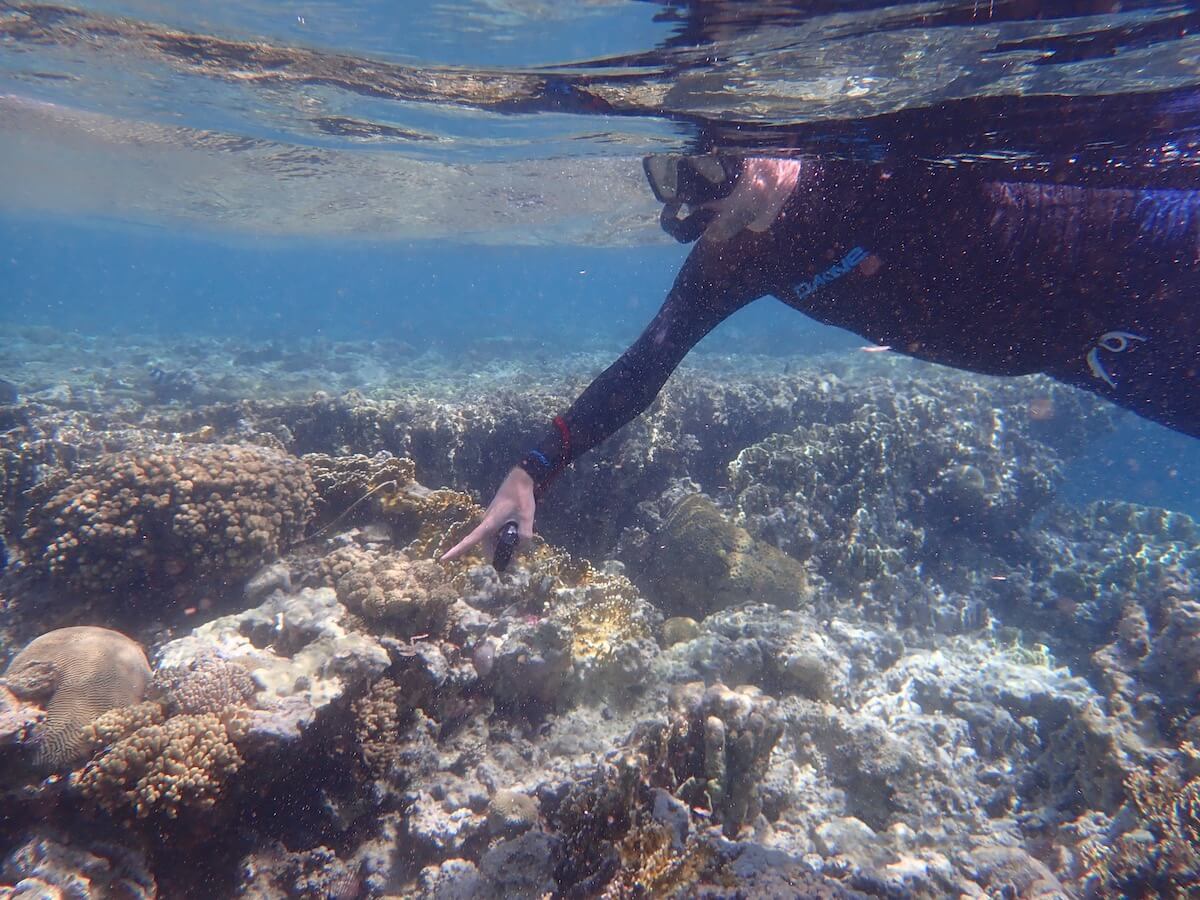 Snorkeling