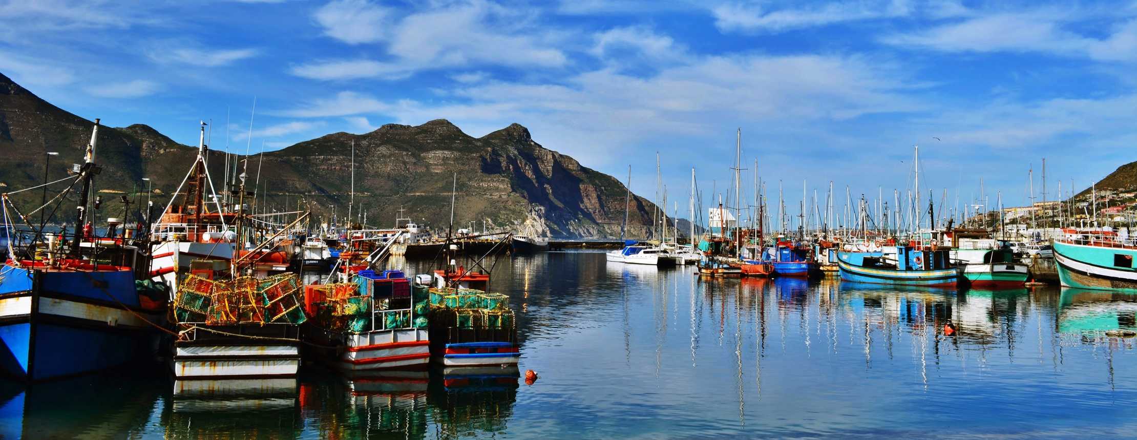 The Harbour Walls