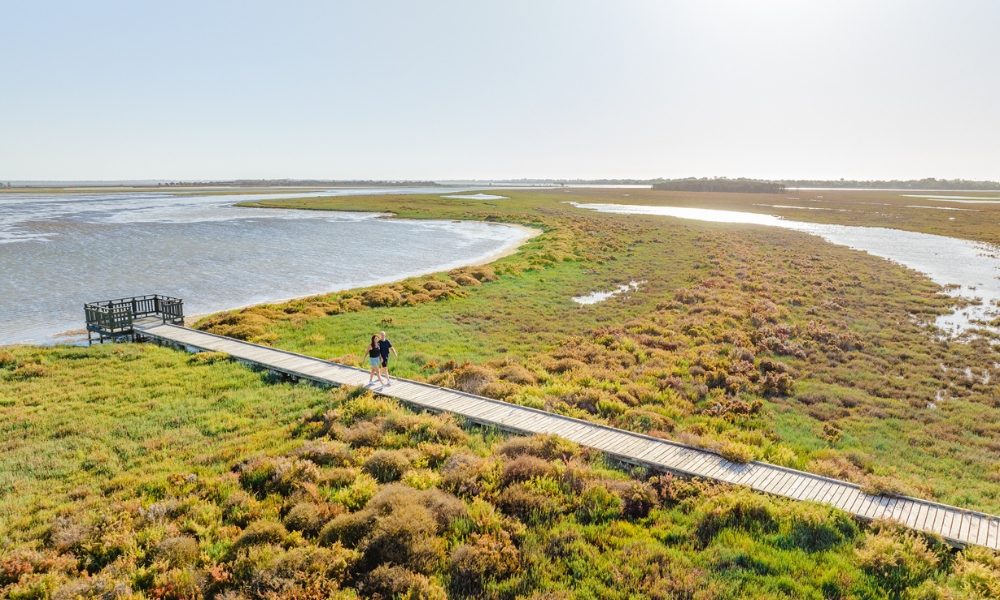 Creery Wetlands