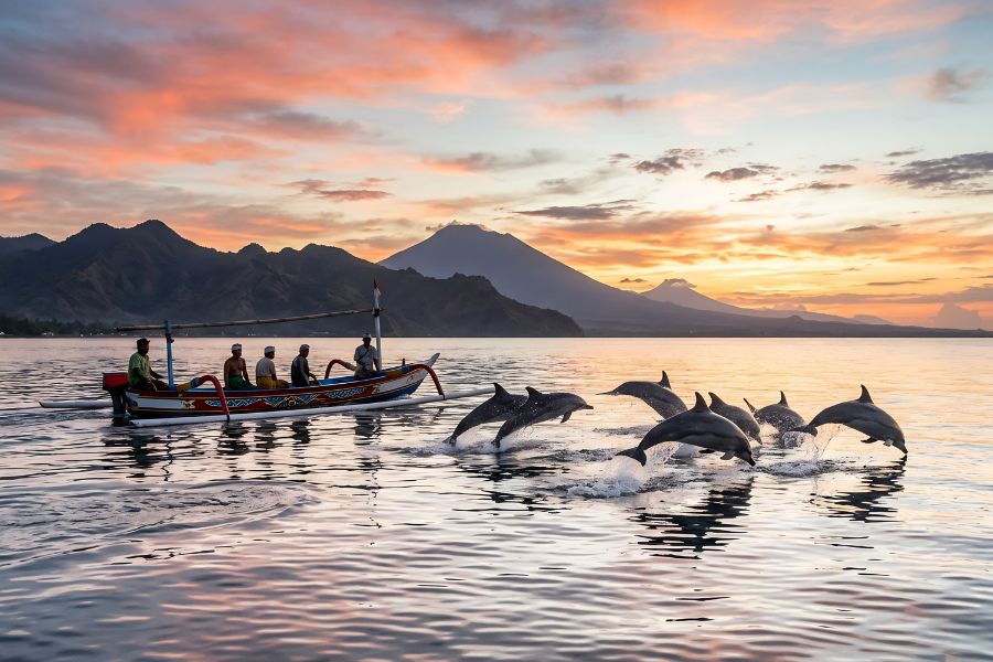 Your experience at Lovina Dolphin Tour