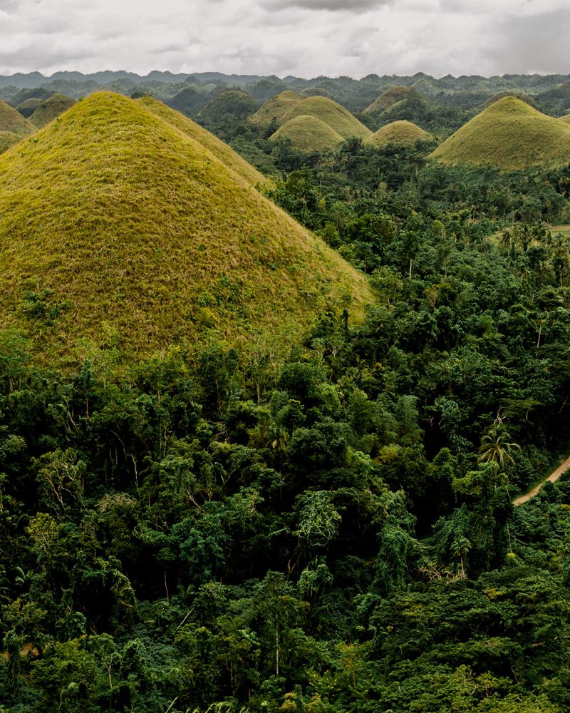 Bohol Countryside Tour