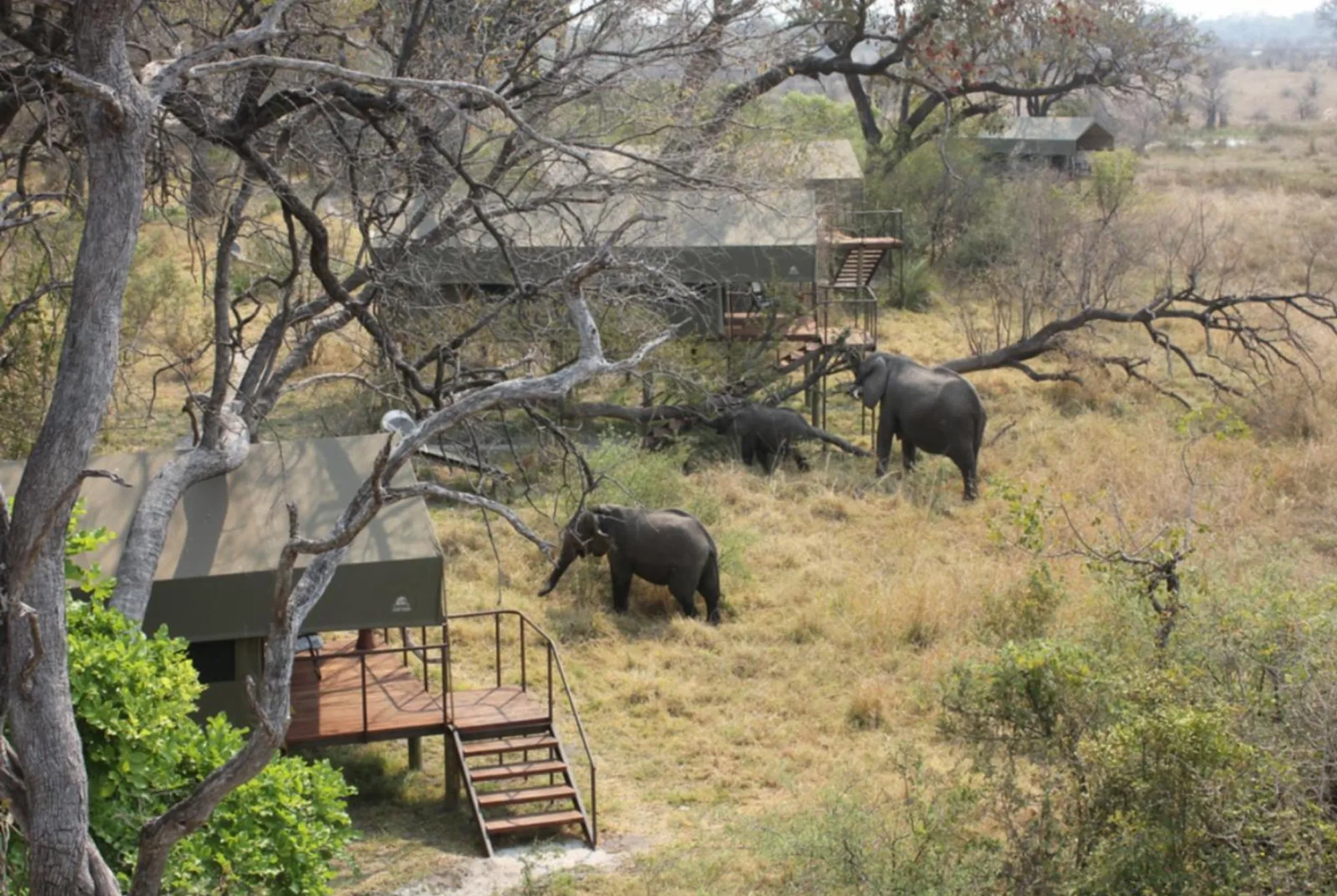 Your experience at Kui Buri Elephant Safari