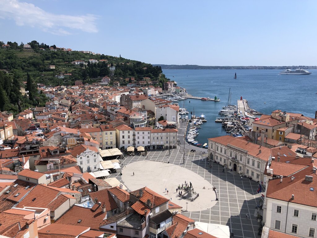 Essential Piran to Venice ferry Information