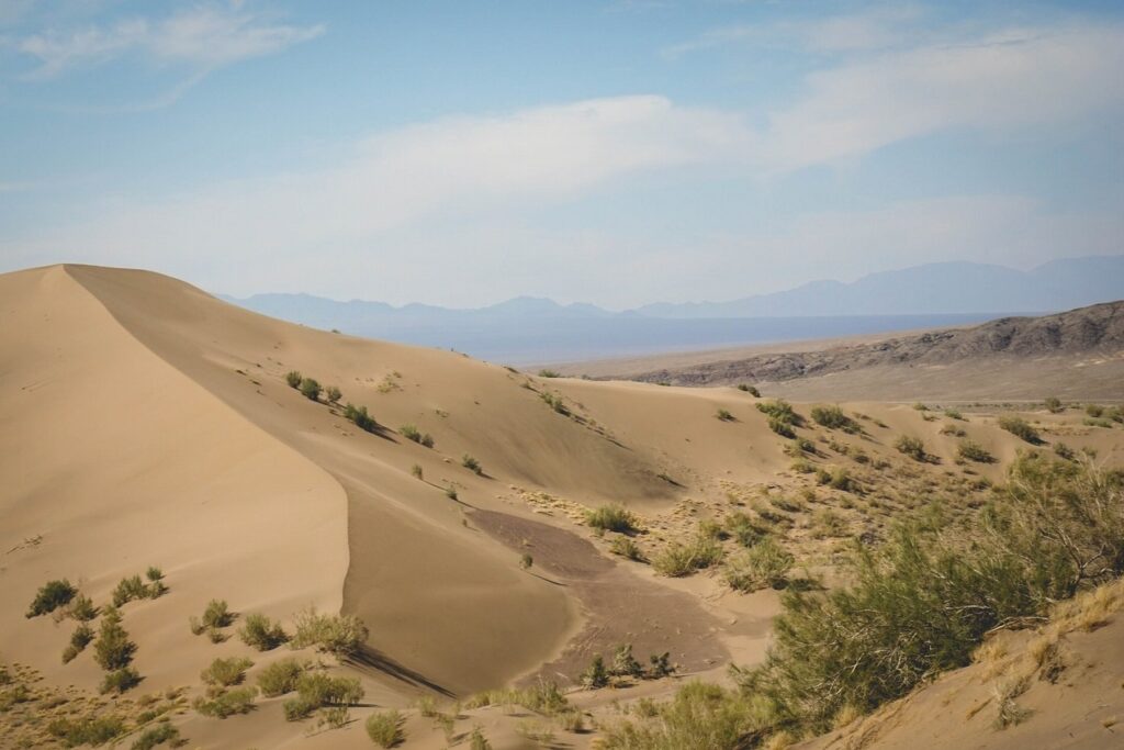 Karakum Dunes