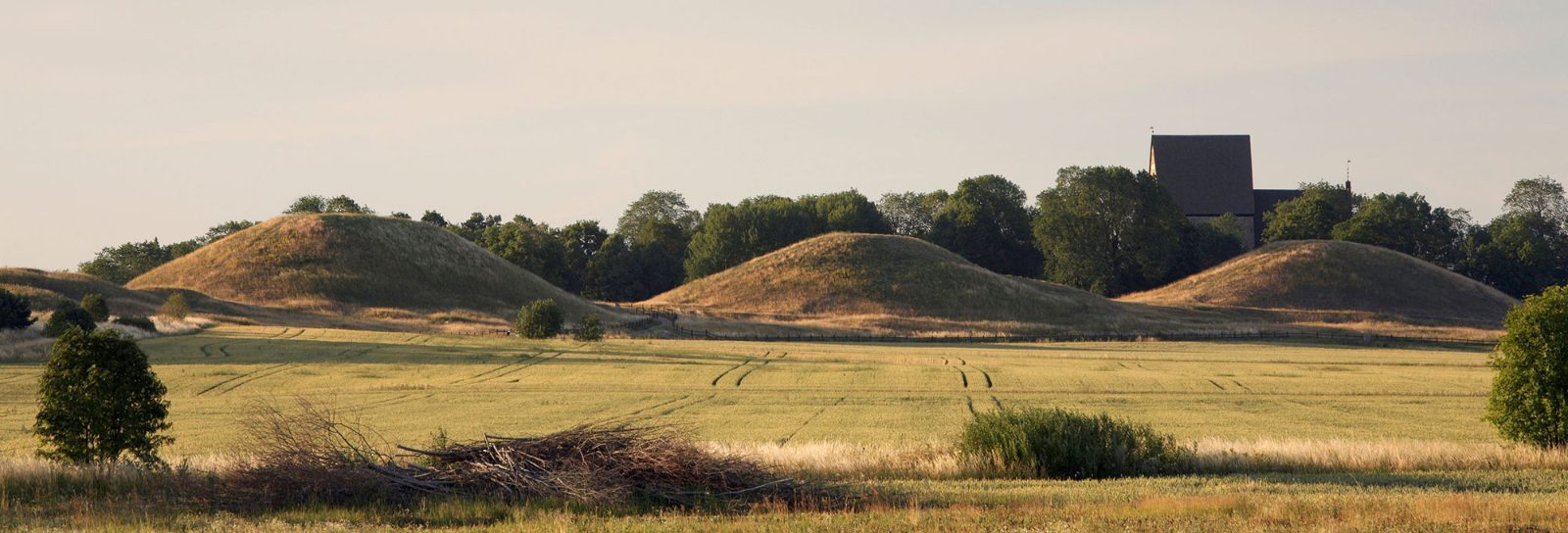 Your experience at Sigtuna and Uppsala Day Trip