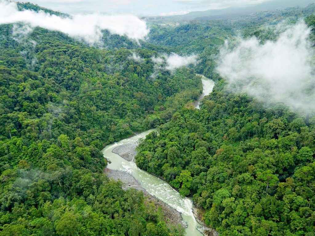 Pacuare River Rafting from San Jose