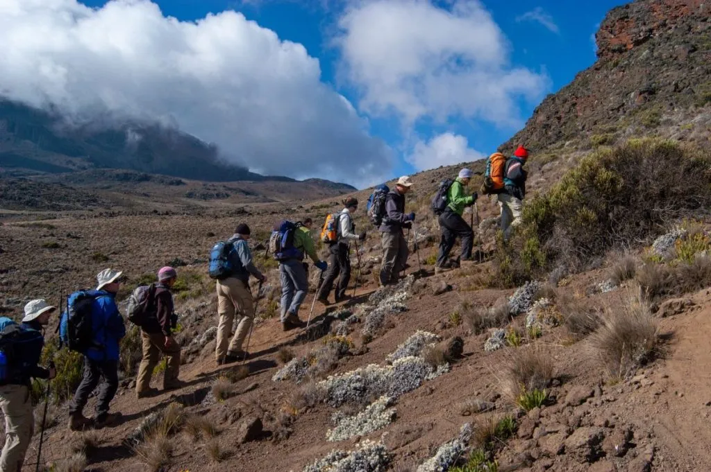 Kilimanjaro Day Hike