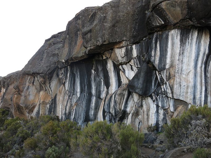 Zebra Rocks