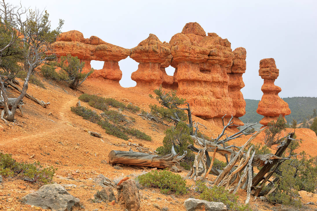 ;Hoodoo Trail