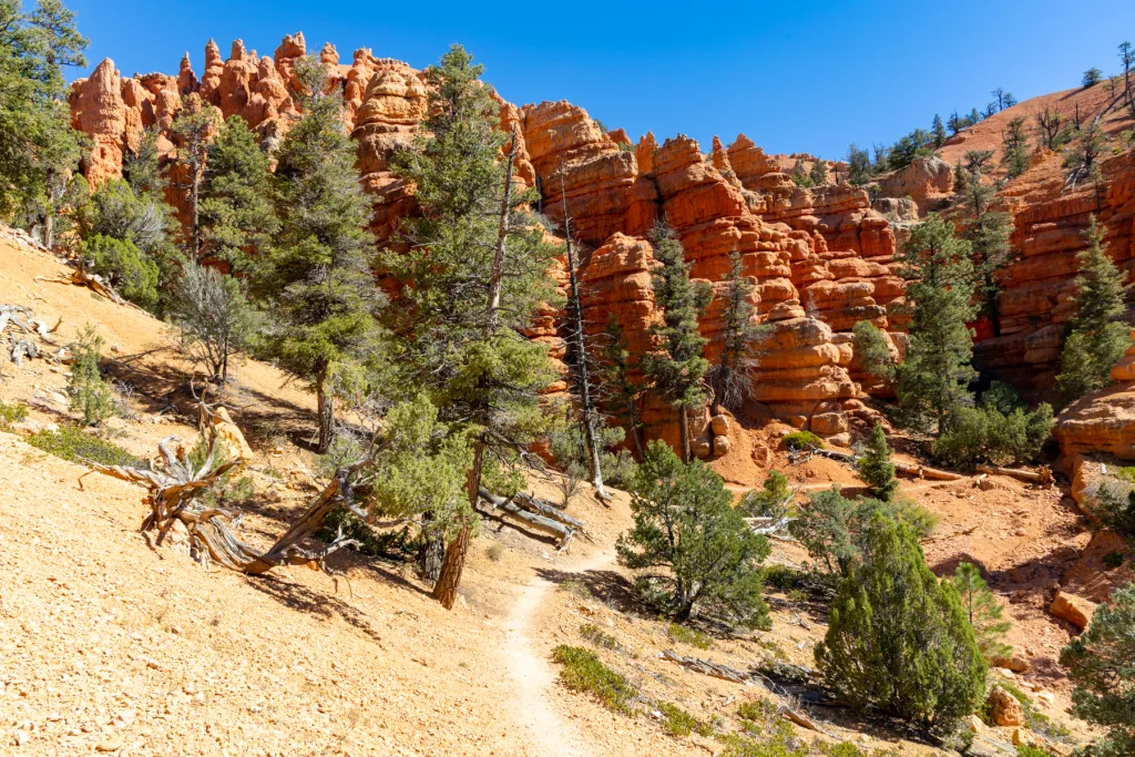 Pink Ledges Trail