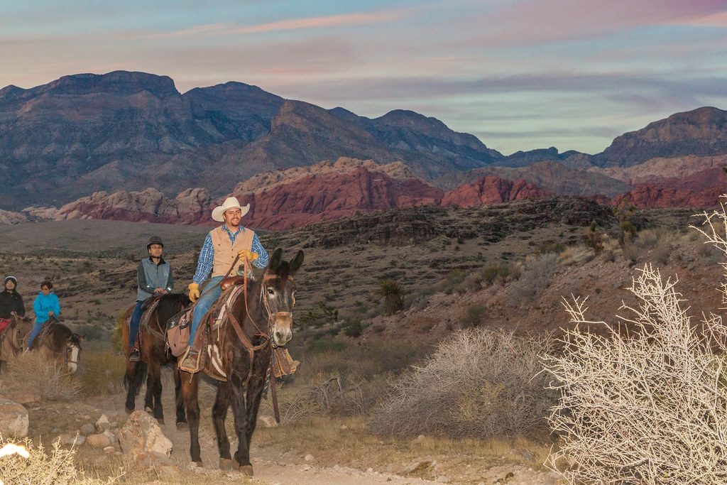 Red Canyon Horseback Riding
