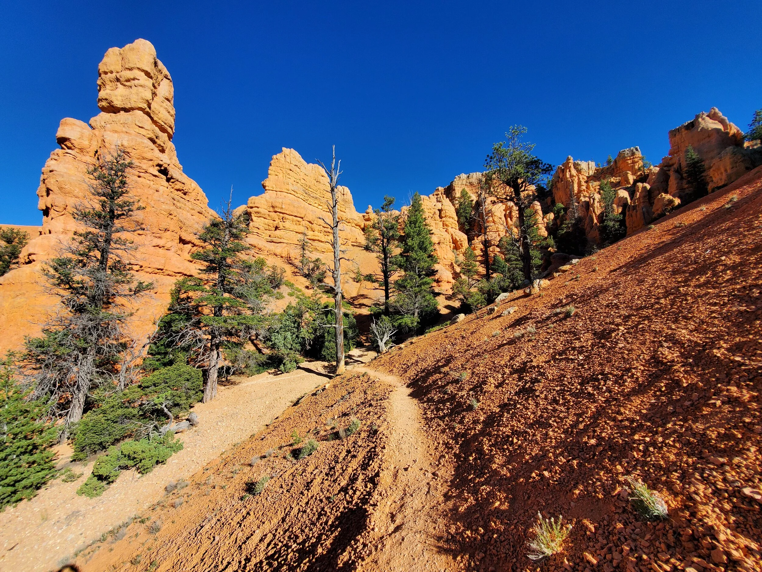 ;Birdseye Trail