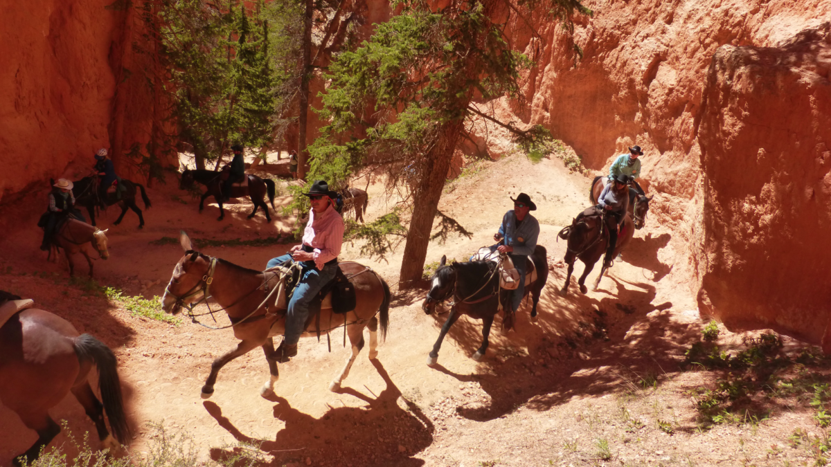 Your experience at Red Canyon Horseback Riding