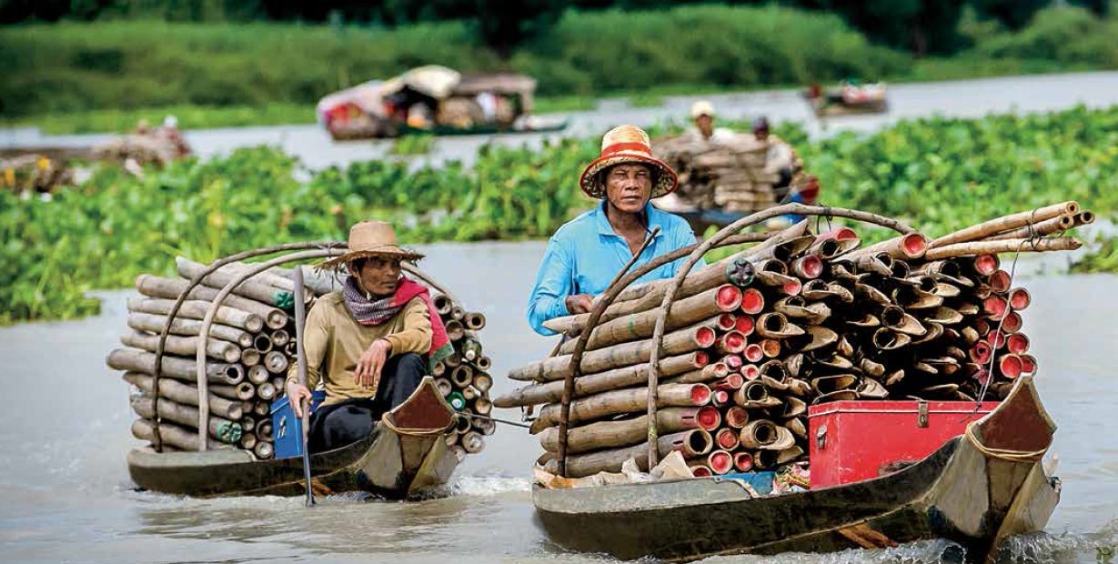 Local Life Onboard