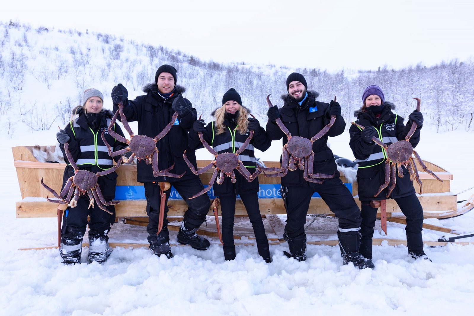 King Crab Safari Kirkenes