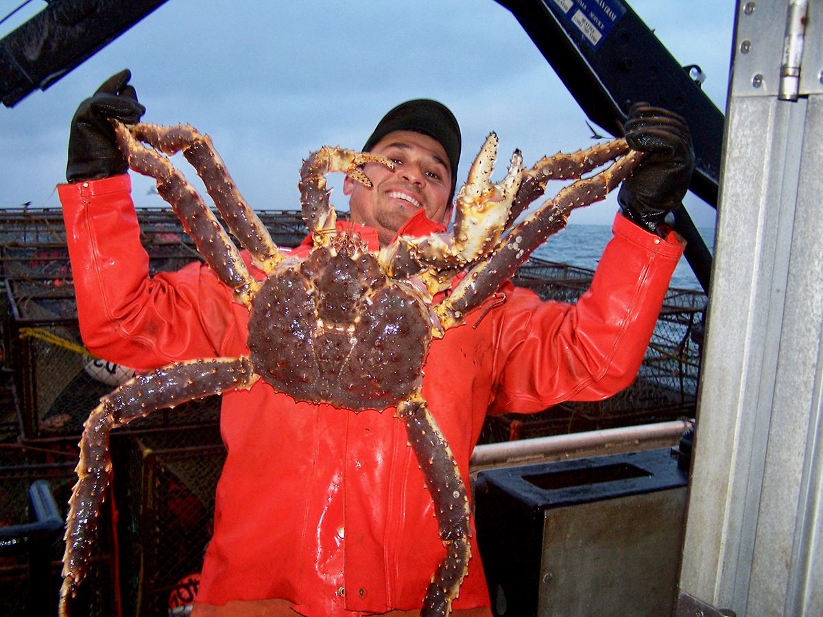 Your experience at King Crab Safari Kirkenes