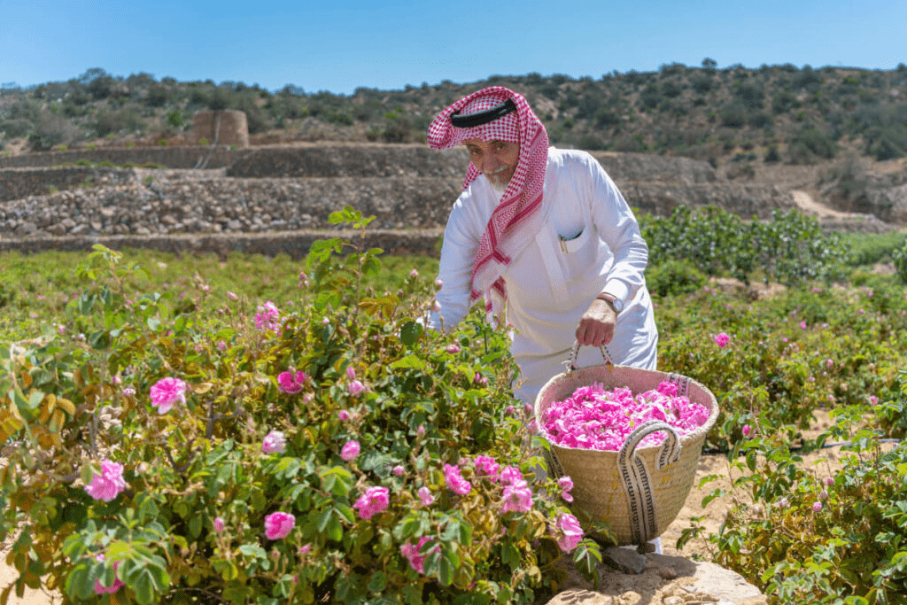 Taif Rose Farms