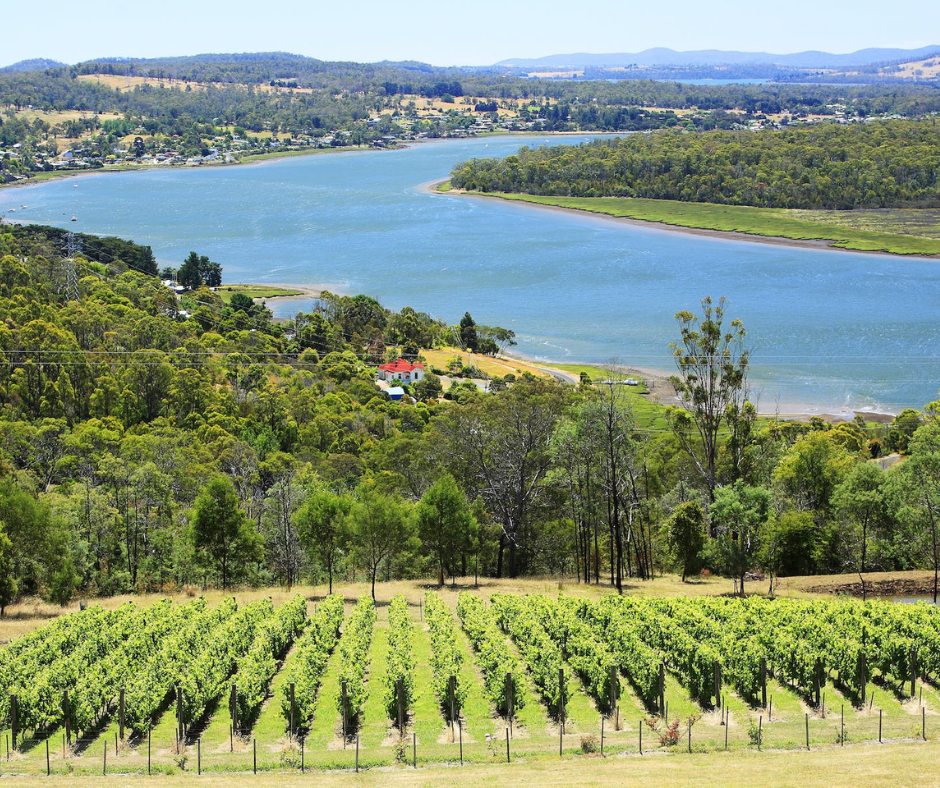 Tamar River Cruises Launceston Overview