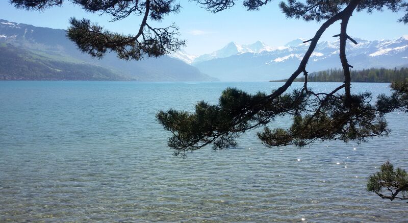 Lake Thun