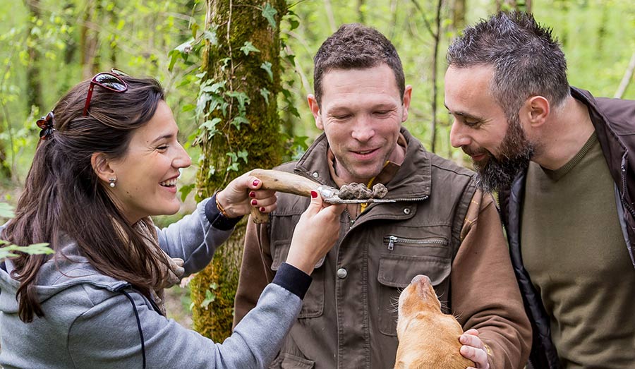 Motovun Truffle Hunting