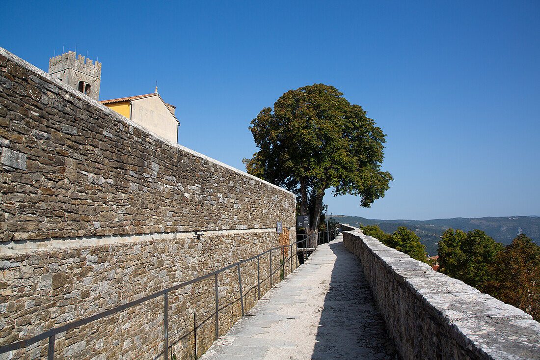 Motovun Walls
