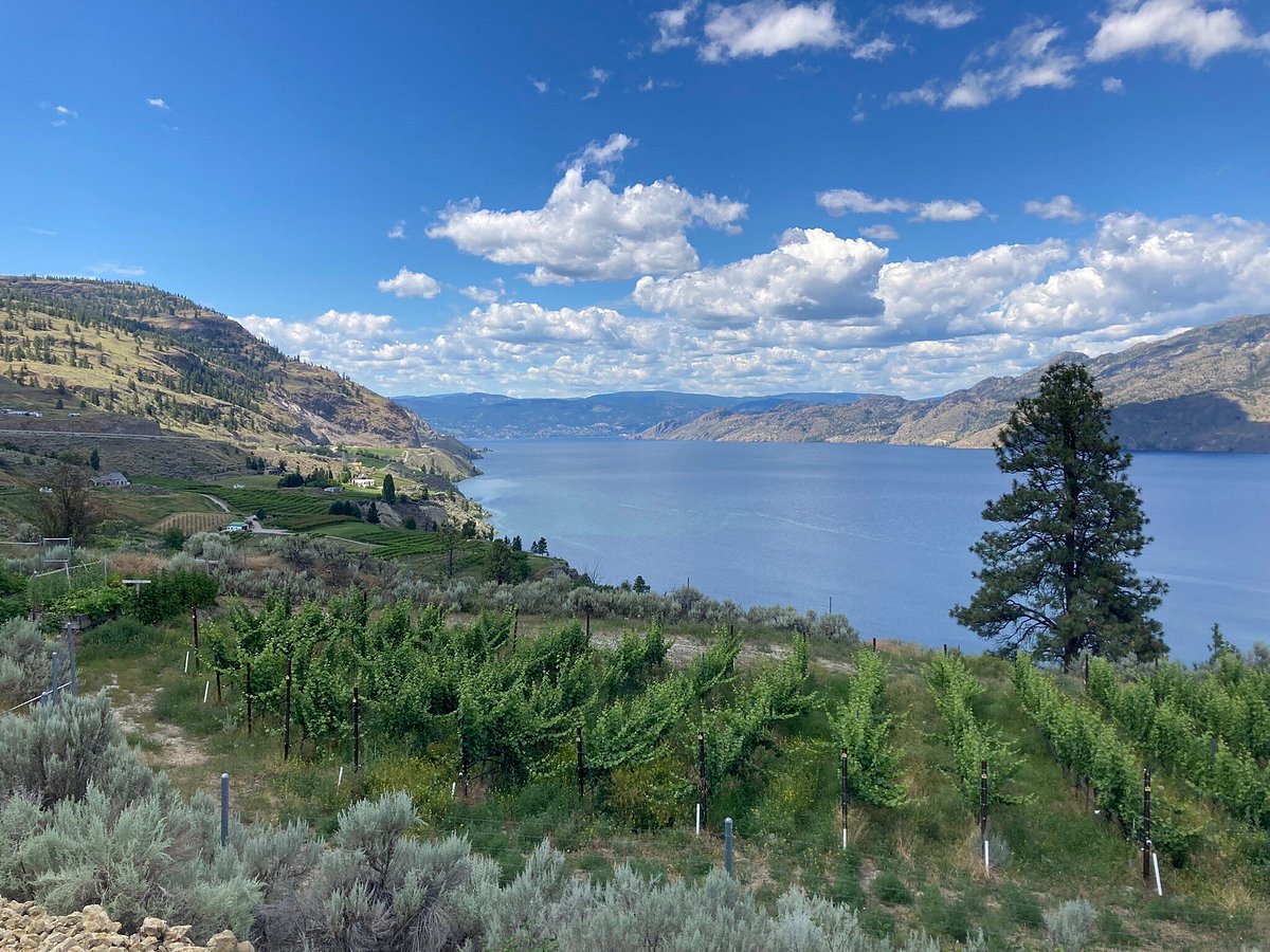 Okanagan Lake Viewpoints