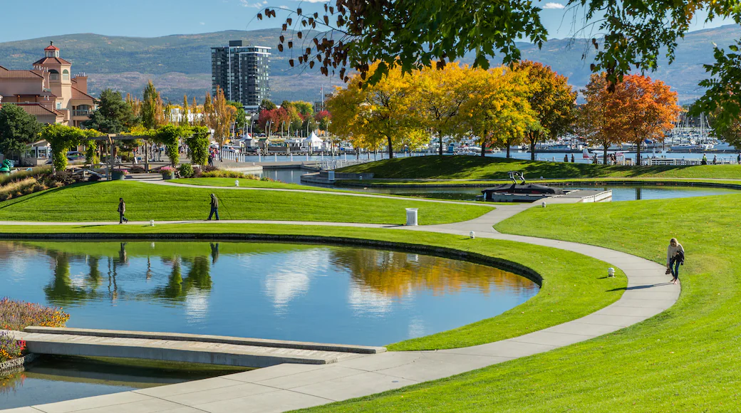 Kelowna City Park