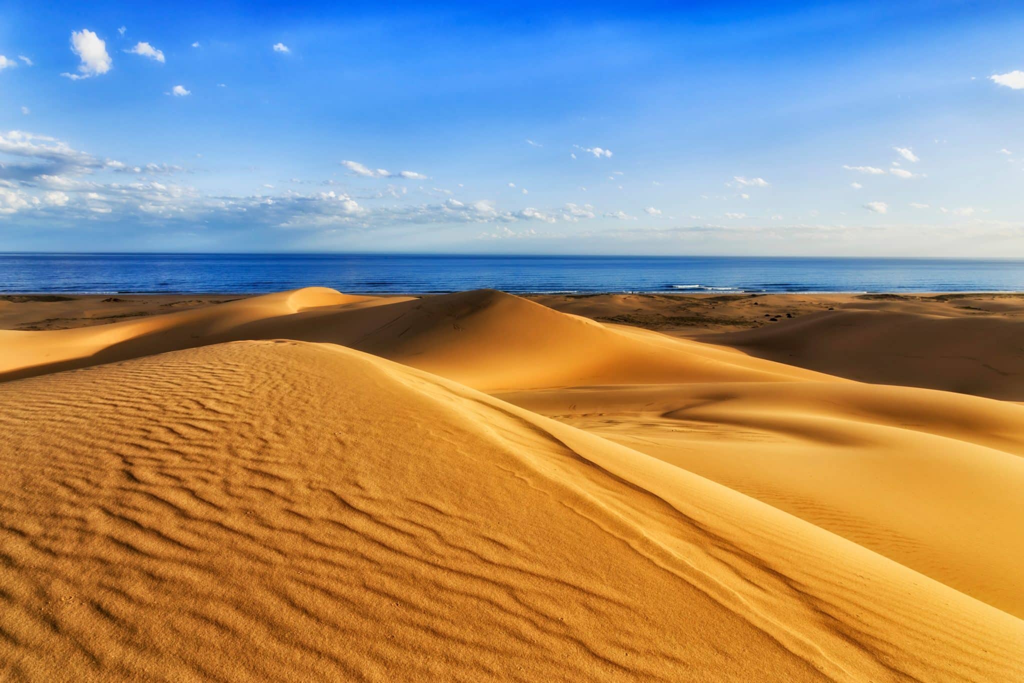 Port Stephens Sandboarding Experience