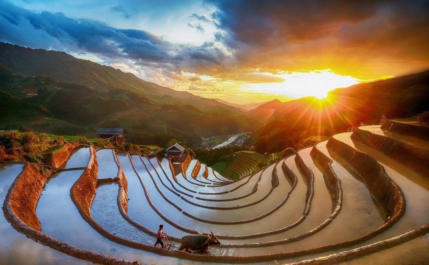 Mu Cang Chai Tour From Hanoi