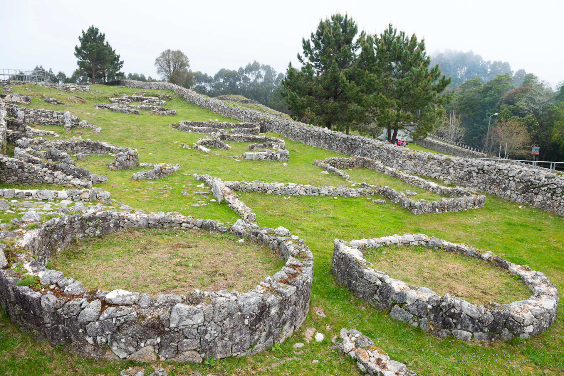 Citânia de Santa Luzia