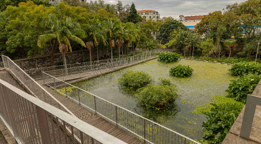 Sanctuary Grounds