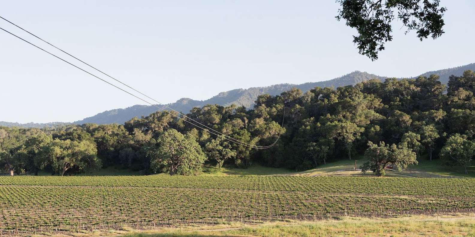 Discover the santa margarita zipline