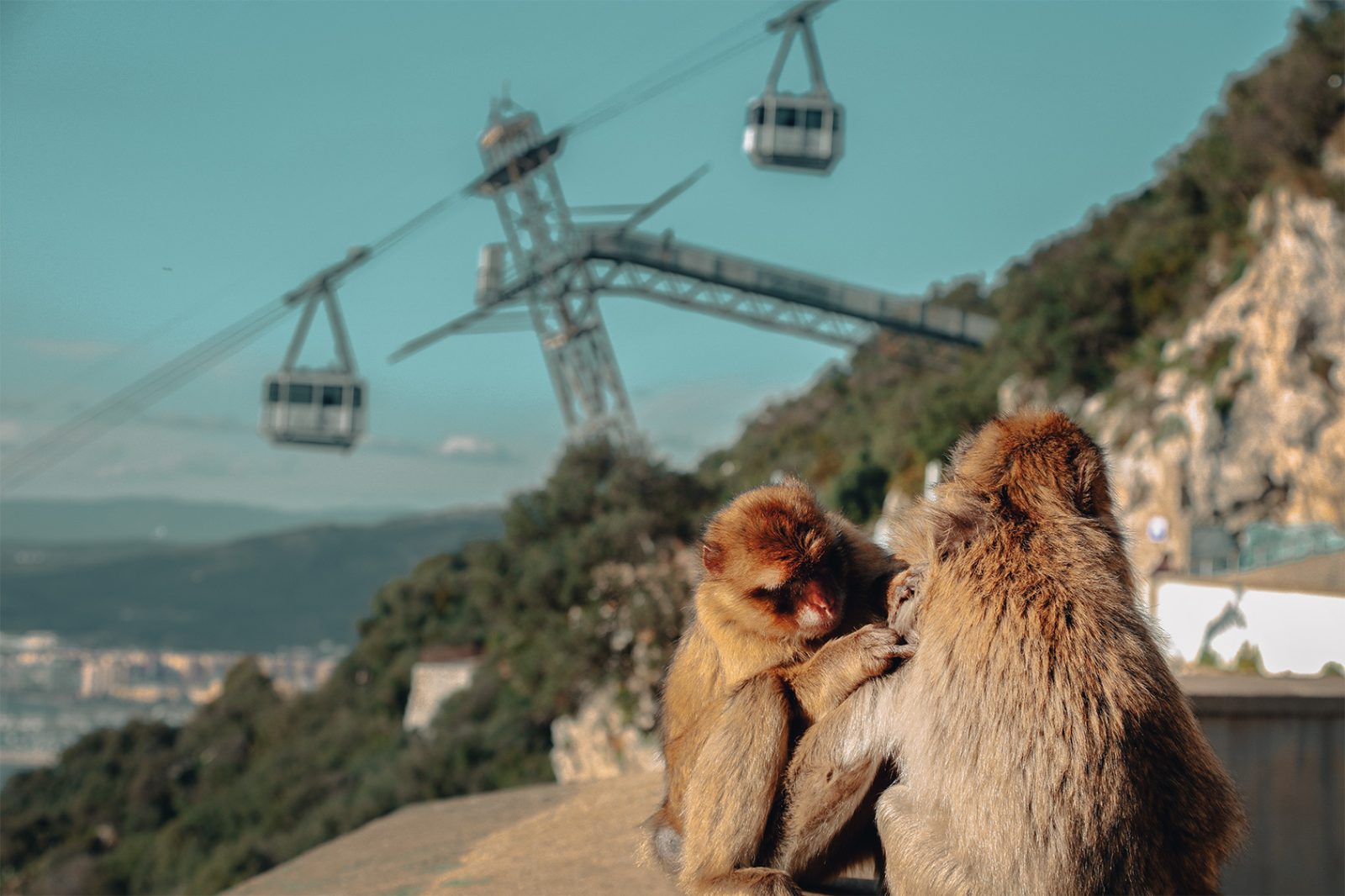 Your experience at Gibraltar Day Trip From Malaga